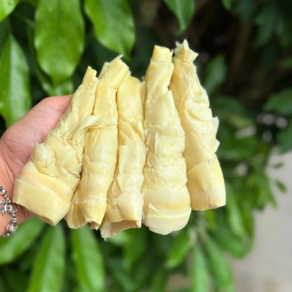 Việc có sẵn măng nứa luộc sẵn mở ra nhiều cơ hội sáng tạo trong bếp. (Ảnh 4)