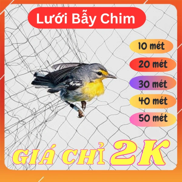 Trong quá khứ, người dân thường dùng các biện pháp như lưỡi cưa, lưới nhựa màu đen, thậm chí là tiếng ồn mạnh để làm giảm tiếng hót chim. (Ảnh 3)
