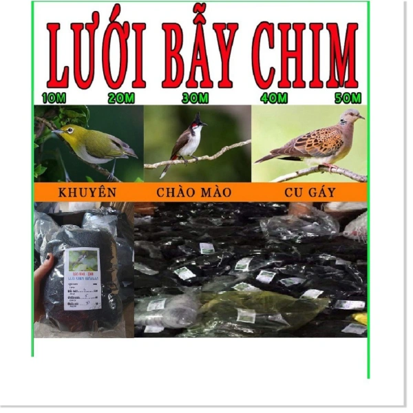 Nếu bạn đang cân nhắc mua một giải pháp thực tiễn, Lưới bẫy chim tàng hình Thái Lan cao 5m đủ size 50m là một trong những lựa chọn đáng xem xét. (Ảnh 5)