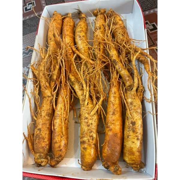 Mặc dù không có nghiên cứu lâm sàng quy mô lớn để khẳng định mọi tác dụng, nhiều phản hồi từ cộng đồng sử dụng cho thấy một số “điểm bất ngờ” sau khi dùng liên tục từ ba tháng đến một năm. (Ảnh 3)