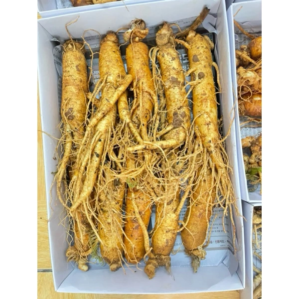 Thị trường thực phẩm chức năng hiện nay đa dạng, bao gồm cả các sản phẩm dựa trên thảo dược, vitamin, khoáng chất. (Ảnh 5)