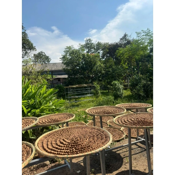 Khi đốt nụ trầm hương, khói sinh ra là những hạt mịn, có độ bốc hơi thấp, thường không gây ác mùi hay mùi khó chịu nếu dùng đúng cách và trong khoảng thời gian hợp lý. (Ảnh 3) Khi đốt nụ trầm hương, khói sinh ra là những hạt mịn, có độ bốc hơi thấp, thường không gây ác mùi hay mùi khó chịu nếu dùng đúng cách và trong khoảng thời gian hợp lý. (Ảnh 3)