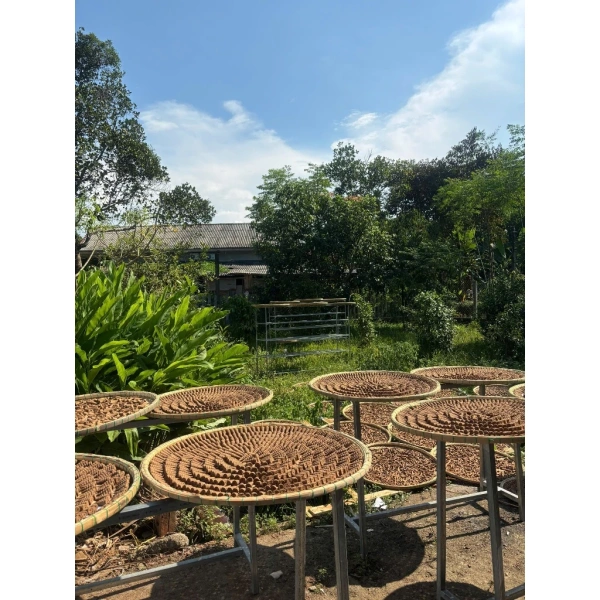Thực hiện những bước trên sẽ giúp bạn duy trì không gian phòng khách luôn sạch sẽ, an toàn, đồng thời trải nghiệm được cảm giác “tĩnh lặng” một cách trọn vẹn. (Ảnh 5) Thực hiện những bước trên sẽ giúp bạn duy trì không gian phòng khách luôn sạch sẽ, an toàn, đồng thời trải nghiệm được cảm giác “tĩnh lặng” một cách trọn vẹn. (Ảnh 5)