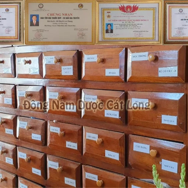 Sự khác biệt giữa mong đợi hương nhài tinh tế và cảm nhận thực tế sau mỗi lần pha trà - Ảnh 4 Sự khác biệt giữa mong đợi hương nhài tinh tế và cảm nhận thực tế sau mỗi lần pha trà - Ảnh 4