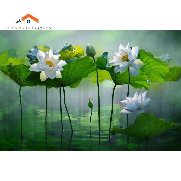 Những khoảnh khắc bất ngờ khi một bức tranh 5D biến góc phòng thành hồ sen yên tĩnh