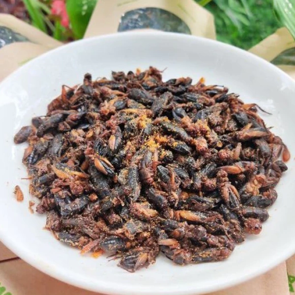 Sự tiện lợi của dế sữa rang muối trong bữa nhanh lại ẩn một bất ngờ khi ăn liên tục