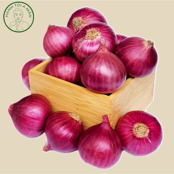 Những con số trên cho thấy không có câu trả lời duy nhất cho mọi trường hợp; quan trọng là cách thực hiện bảo quản cụ thể. (Ảnh 3)