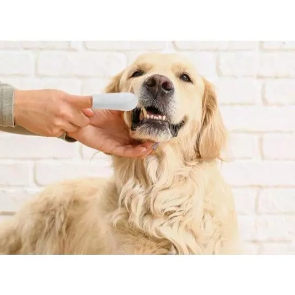 Vì vậy, việc tìm kiếm một công cụ mới, có thể “điểm mạnh” vào những thiếu sót này là một nhu cầu thực tế. (Ảnh 3)