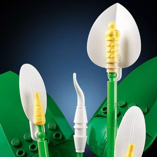Giá niêm yết của LEGO BOTANICALS 11504 là 2,650,700 VND, nhưng hiện đang được giảm còn 2,039,000 VND trên một số nền tảng thương mại điện tử. (Ảnh 4)