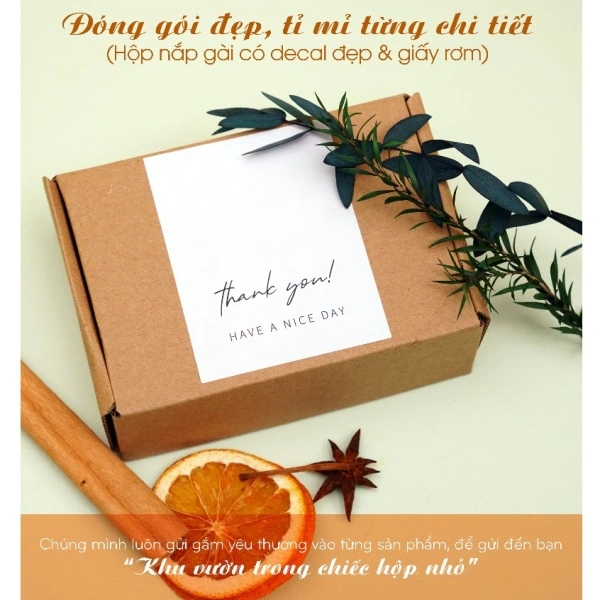 Que đá (còn gọi là que khuếch tán) thường được làm từ vật liệu sợi thủy tinh hoặc polymer đặc biệt, có khả năng hút tinh dầu lên bề mặt và sau đó giải phóng hương thơm dần dần thông qua quá trình bay hơi. (Ảnh 2)
