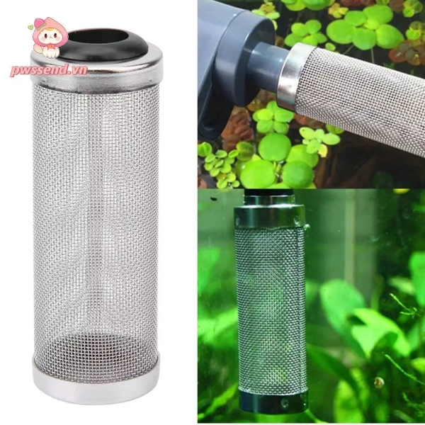 Lưới bảo vệ ống lọc bể cá mòn dần và làm tăng độ đục nước – điều mà hầu hết người nuôi cá chưa để ý - Ảnh 1