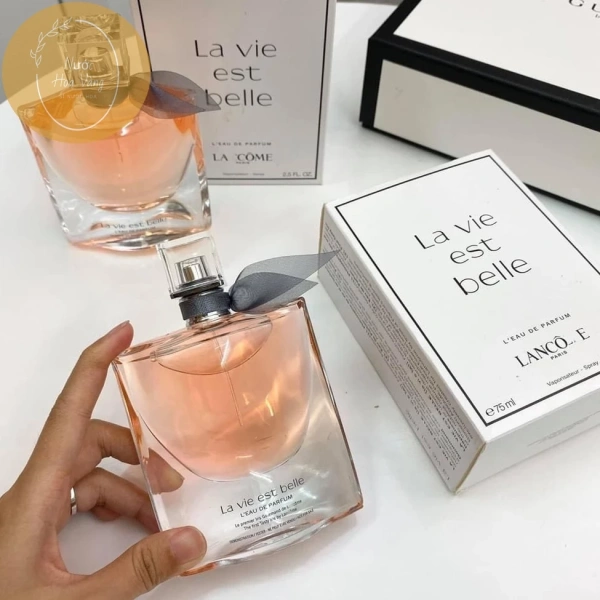 Thị trường hiện nay có rất nhiều lựa chọn từ các thương hiệu cao cấp tới các thương hiệu “mid‑range”. (Ảnh 4)