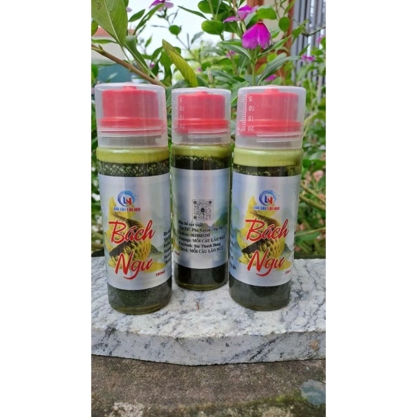 Hương liệu mồi câu siêu nhạy thay đổi kết quả câu cá – chi tiết mà hầu hết người câu bỏ qua