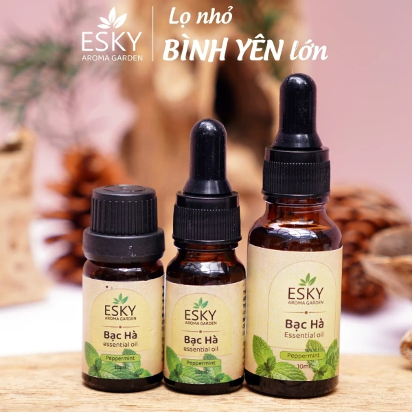 Khi tinh dầu bạc hà được phát tán trong không gian, các hợp chất chính như menthol, menthone và eucalyptol sẽ lan tỏa qua không khí. (Ảnh 2) Khi tinh dầu bạc hà được phát tán trong không gian, các hợp chất chính như menthol, menthone và eucalyptol sẽ lan tỏa qua không khí. (Ảnh 2)