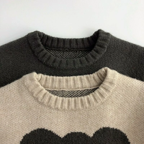 Thị trường hiện nay có nhiều lựa chọn cho bé vào mùa thu: áo khoác gió, áo len dài, và áo sweater. (Ảnh 3)