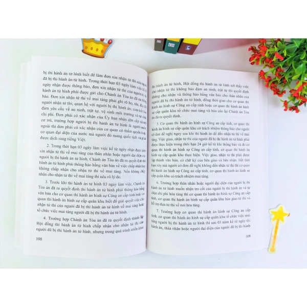 Áp dụng kiến thức từ sách luật thi hành án hình sự thường hé lộ những điểm chưa được đề cập trong thực tiễn - Ảnh 4