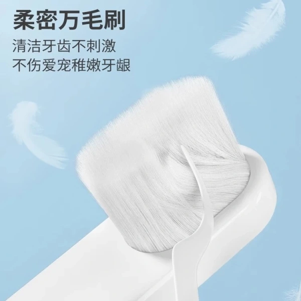 Thực hiện một quy trình chải răng nhất quán sẽ tối đa hóa hiệu quả và giảm thiểu stress cho thú cưng. (Ảnh 4)