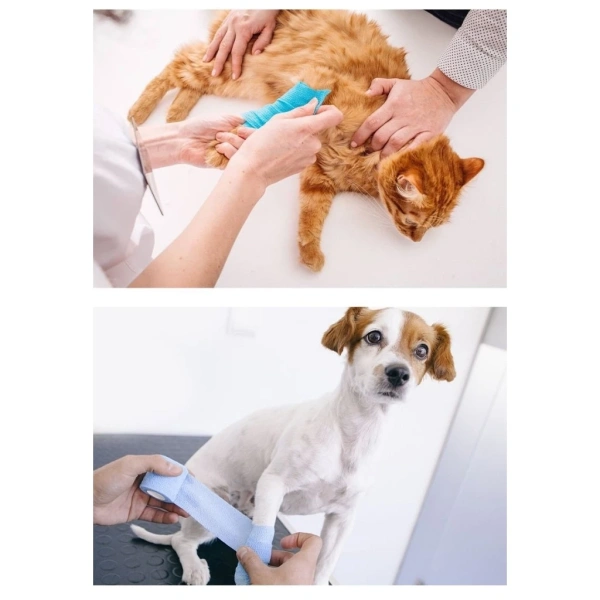 Một trong những lựa chọn đang được nhiều gia đình tin dùng là Băng Dính Tự Dính Cho Thú Cưng Dành Cho Chó Và Mèo. (Ảnh 4) Một trong những lựa chọn đang được nhiều gia đình tin dùng là Băng Dính Tự Dính Cho Thú Cưng Dành Cho Chó Và Mèo. (Ảnh 4)
