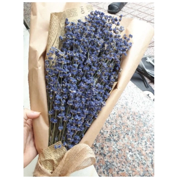Dưới đây là danh sách các “cạm bẫy” mà nhiều người vô tình mắc phải, dẫn đến việc bó hoa mất hương trong vòng vài tuần. (Ảnh 2) Dưới đây là danh sách các “cạm bẫy” mà nhiều người vô tình mắc phải, dẫn đến việc bó hoa mất hương trong vòng vài tuần. (Ảnh 2)