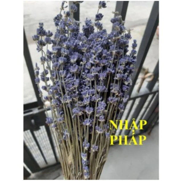Dưới đây là quy trình “bắt đầu nhanh” cho những ai chưa từng bảo quản hoa khô trước đây. (Ảnh 5) Dưới đây là quy trình “bắt đầu nhanh” cho những ai chưa từng bảo quản hoa khô trước đây. (Ảnh 5)