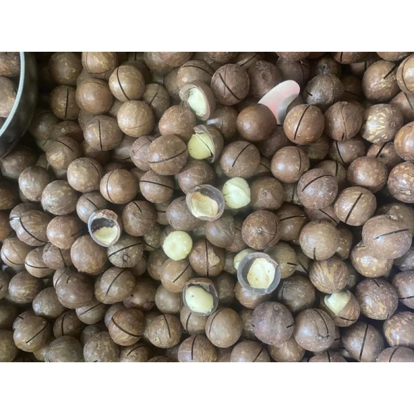 Bảo quản hạt macca trong tủ lạnh thường khiến hương thơm nhanh tan và ăn không còn hấp dẫn - Ảnh 4 Bảo quản hạt macca trong tủ lạnh thường khiến hương thơm nhanh tan và ăn không còn hấp dẫn - Ảnh 4