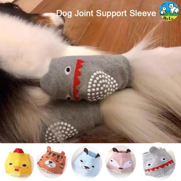 Bất ngờ khi nhận ra phụ kiện bảo vệ khớp cho chó lớn giúp ngăn liếm và trơn trượt suốt cả năm - Ảnh 1 Bất ngờ khi nhận ra phụ kiện bảo vệ khớp cho chó lớn giúp ngăn liếm và trơn trượt suốt cả năm - Ảnh 1