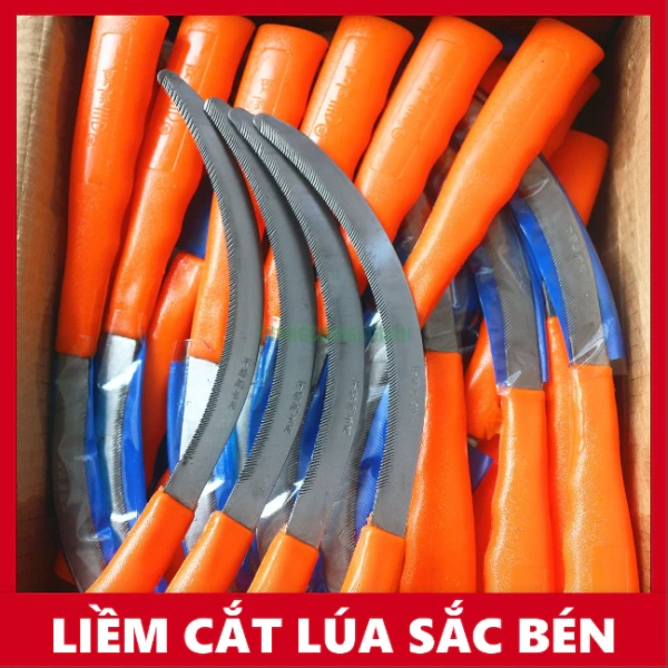 Bây giờ mới nhận ra rằng tay cầm nhựa của liềm cắt cỏ dễ gãy khi dùng lâu, làm giảm độ ổn định trong quá trình cắt. - Ảnh 1 Bây giờ mới nhận ra rằng tay cầm nhựa của liềm cắt cỏ dễ gãy khi dùng lâu, làm giảm độ ổn định trong quá trình cắt. - Ảnh 1
