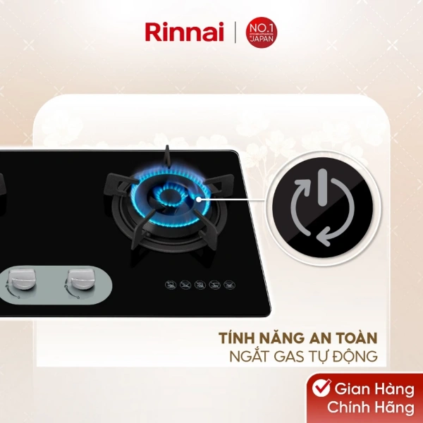 Đối với người mới mua bếp, quyết định chọn loại mặt bếp nào là vấn đề quan trọng. (Ảnh 5)