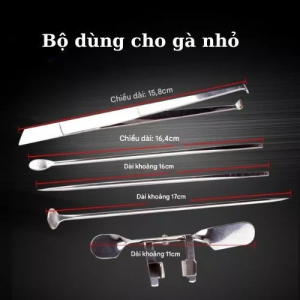 Bộ dụng cụ inox 5 món cho món gà tiết kiệm thời gian, nhưng các khe hở khiến việc vệ sinh trở thành thử thách. - Ảnh 3 Bộ dụng cụ inox 5 món cho món gà tiết kiệm thời gian, nhưng các khe hở khiến việc vệ sinh trở thành thử thách. - Ảnh 3
