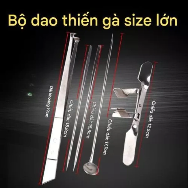 Đúng kỹ thuật thiến gà không chỉ giúp giảm chi phí thức ăn mà còn ảnh hưởng trực tiếp đến chất lượng thịt. (Ảnh 4) Đúng kỹ thuật thiến gà không chỉ giúp giảm chi phí thức ăn mà còn ảnh hưởng trực tiếp đến chất lượng thịt. (Ảnh 4)