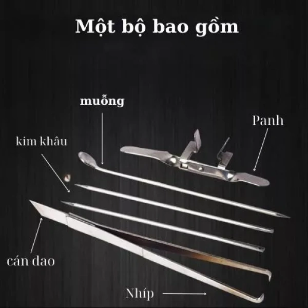 Nhìn chung, Bộ Thiến Gà 5 Món Có Chất Liệu Inox Cao Cấp là một lựa chọn hợp lý cho người nông dân, đơn vị thú y, hoặc những người yêu thích tự làm thực phẩm tại nhà. (Ảnh 5) Nhìn chung, Bộ Thiến Gà 5 Món Có Chất Liệu Inox Cao Cấp là một lựa chọn hợp lý cho người nông dân, đơn vị thú y, hoặc những người yêu thích tự làm thực phẩm tại nhà. (Ảnh 5)