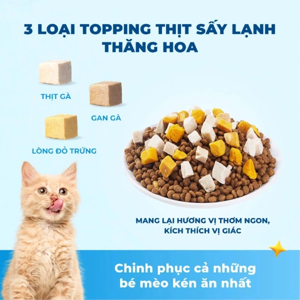 Thị trường hiện nay có rất nhiều lựa chọn, nhưng không phải loại nào cũng đáp ứng đủ các tiêu chí đã nêu. (Ảnh 4)