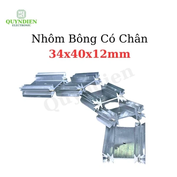 Trong quá trình chọn mua, nhiều người vẫn bỏ qua yếu tố “độ dày vây” và chỉ nhìn vào kích thước bên ngoài. (Ảnh 3)