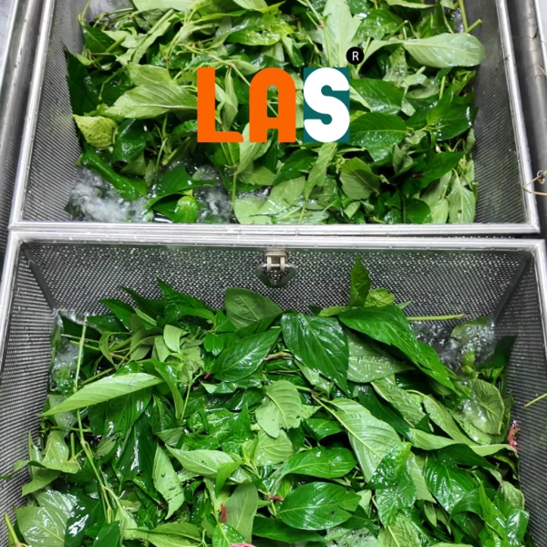 Bột màu lá cẩm tự nhiên làm xôi tím đẹp mắt, nhưng thời gian nấu kéo dài hơn so với màu thực phẩm thông thường - Ảnh 2 Bột màu lá cẩm tự nhiên làm xôi tím đẹp mắt, nhưng thời gian nấu kéo dài hơn so với màu thực phẩm thông thường - Ảnh 2