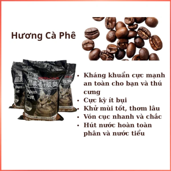 Cát mèo hương cà phê có thực sự khử mùi hiệu quả trong phòng khách? - Ảnh 3
