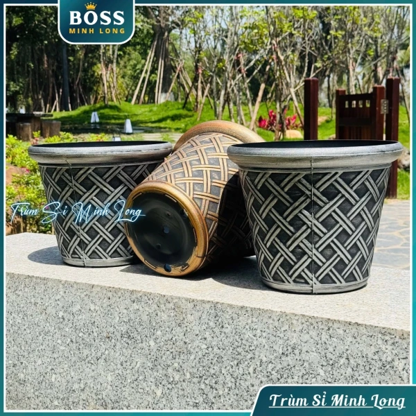 Chậu cây trang trí biến hành lang nhà thành không gian thư giãn: chi tiết ít người để ý nhưng lại tạo nên sự khác biệt - Ảnh 1