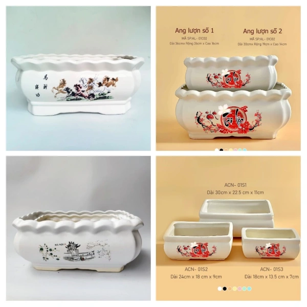 Chậu sứ lớn hình chữ nhật cho cây nội thất: giữ ẩm tuyệt vời nhưng việc di chuyển lại thành bất ngờ khó khăn. - Ảnh 1
