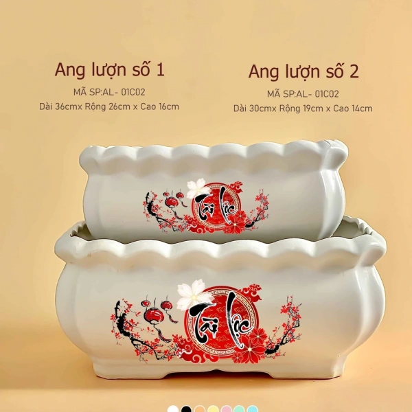 Giữ ẩm ổn định là một trong những yếu tố quan trọng nhất quyết định sự phát triển của cây trong nhà. (Ảnh 2)
