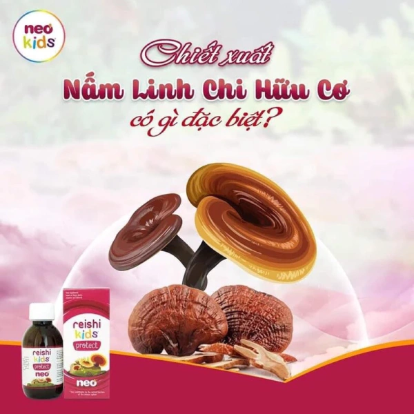 Đối với các bé thường bị nghẹt mũi, ho nhẹ, nấm linh chi được cho là có tác dụng “dịch” nhẹ các chất viêm trong niêm mạc đường hô hấp. (Ảnh 2)