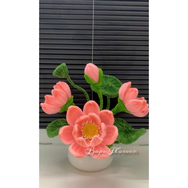 Sen (Nhật ngọc) là loài ưa ẩm nhưng không thích ngập úng. (Ảnh 2)