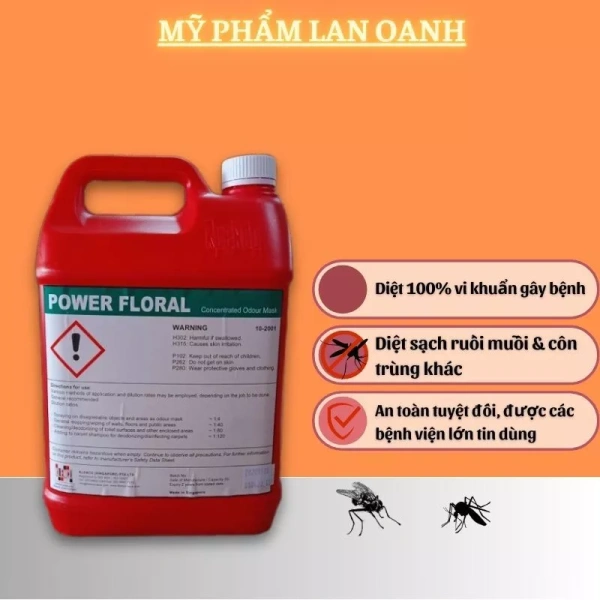 Chuyển sang dung dịch lau sàn khử khuẩn: nhà sạch hơn, tiếng muỗi giảm hầu như không còn - Ảnh 1