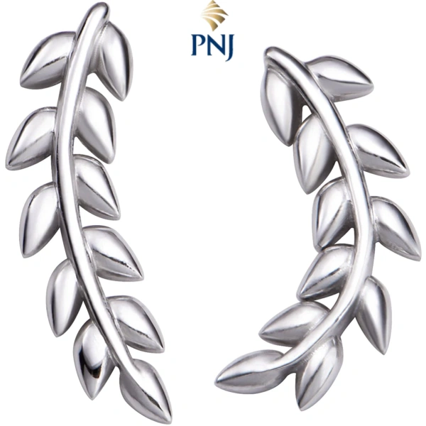 Da nhạy cảm thường phản ứng sau một thời gian đeo bông tai bạc – những dấu hiệu không nên bỏ qua - Ảnh 1 Da nhạy cảm thường phản ứng sau một thời gian đeo bông tai bạc – những dấu hiệu không nên bỏ qua - Ảnh 1