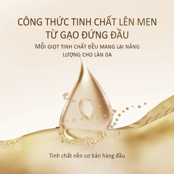 Fougère, một từ tiếng Pháp có nghĩa là “dương xỉ”, là một loại hương liệu được tạo ra từ sự phối hợp của hương thảo mộc, hoa cam, và gỗ đàn hương. (Ảnh 3)