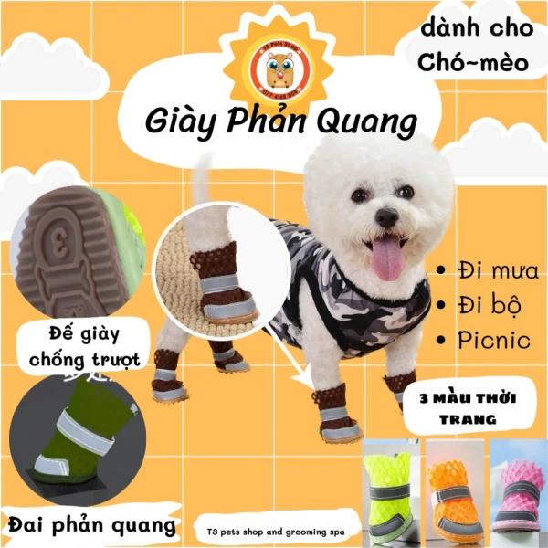 Việc hiểu các yếu tố này giúp chủ chó chọn giày thích hợp và duy trì kiểm tra định kỳ. (Ảnh 3) Việc hiểu các yếu tố này giúp chủ chó chọn giày thích hợp và duy trì kiểm tra định kỳ. (Ảnh 3)
