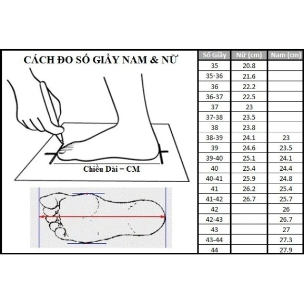 Đối với mỗi người, lựa chọn giày phụ thuộc vào mục đích sử dụng và môi trường di chuyển. (Ảnh 5)