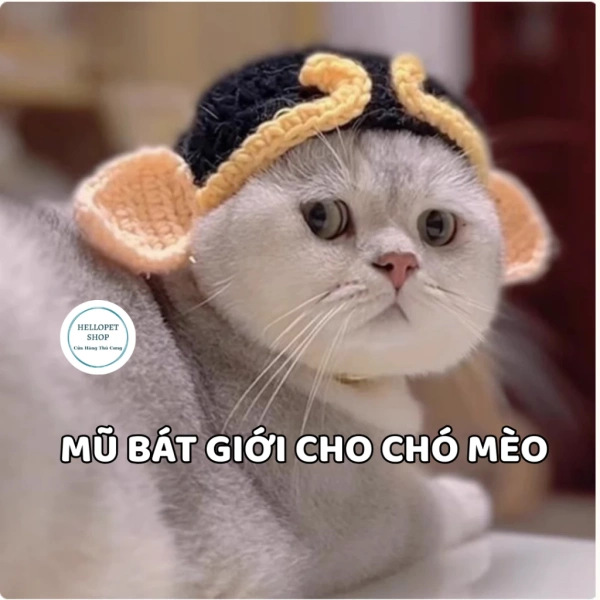 Mũ len HelloPet cung cấp nhiều màu sắc: pastel nhẹ nhàng, màu sắc tươi sáng cho trẻ em, và các gam tối sang trọng cho người trưởng thành. (Ảnh 3)