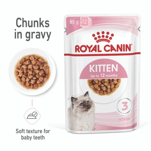 Đừng xem nhẹ việc chọn pate cho mèo con và mẹ bầu; một chi tiết nhỏ có thể thay đổi sức khỏe phát triển - Ảnh 3