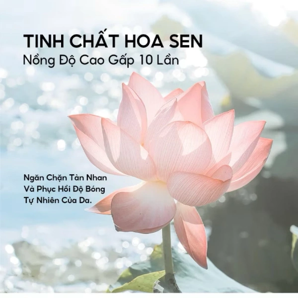 Quy trình dùng mẫu: Đầu tiên, làm sạch da, sau đó vỗ nhẹ một lượng vừa đủ lên da mặt và cổ. (Ảnh 5) Quy trình dùng mẫu: Đầu tiên, làm sạch da, sau đó vỗ nhẹ một lượng vừa đủ lên da mặt và cổ. (Ảnh 5)