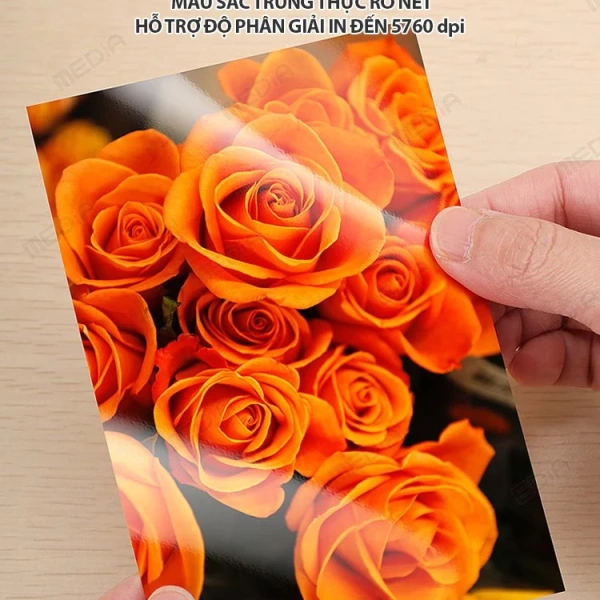 Kết quả cho thấy, giấy RC Bóng Media kết hợp đúng môi trường ẩm độ phù hợp sẽ mang lại màu sắc chuẩn lâu dài hơn hẳn. (Ảnh 5) Kết quả cho thấy, giấy RC Bóng Media kết hợp đúng môi trường ẩm độ phù hợp sẽ mang lại màu sắc chuẩn lâu dài hơn hẳn. (Ảnh 5)