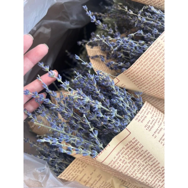 Màu tím đặc trưng của oải hương chủ yếu đến từ anthocyanin – một nhóm flavonoid nhạy cảm với ánh sáng và oxy. (Ảnh 2) Màu tím đặc trưng của oải hương chủ yếu đến từ anthocyanin – một nhóm flavonoid nhạy cảm với ánh sáng và oxy. (Ảnh 2)